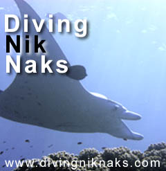 Divingniknaks.com