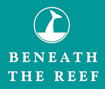 Beneath The Reef