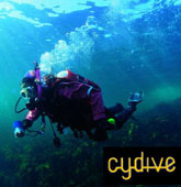 Cydive Diving Centre